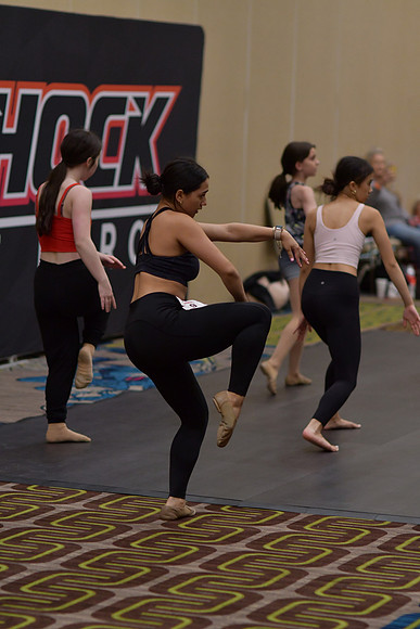 DSC_6306