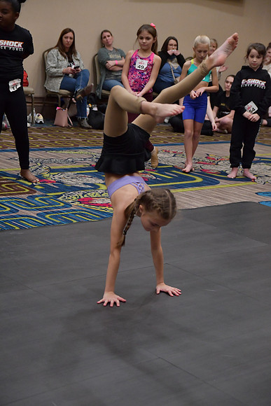 DSC_8373