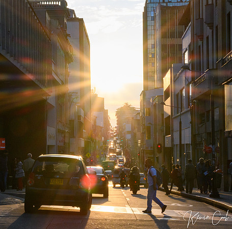 DSC_5206