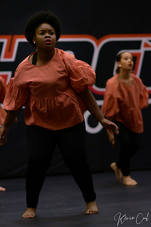 DSC_8500